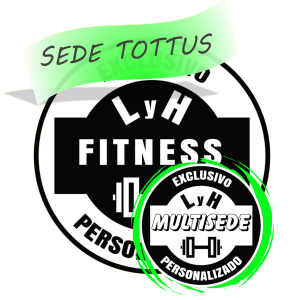 https://lyh.cl/wp-content/uploads/2024/02/sede-Tottus-multisede-300x300.png